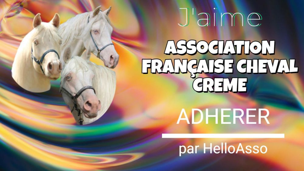 actualité élevage de chevaux vente de chevaux Charente Maritime