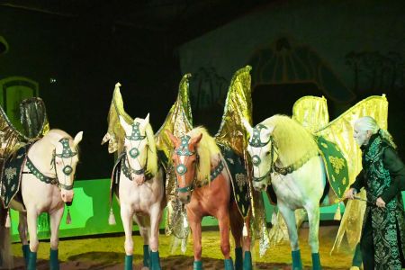 à propos de l'Elevage des Dieux élevage juments poulinières, étalons, spectacles équestres Charente Maritime